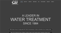 Desktop Screenshot of csiontheweb.com