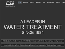 Tablet Screenshot of csiontheweb.com